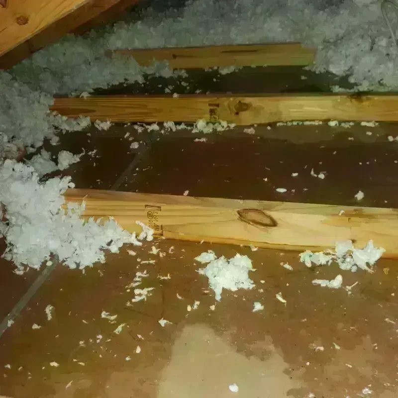 Attic Water Damage in Peaceful Valley, WA