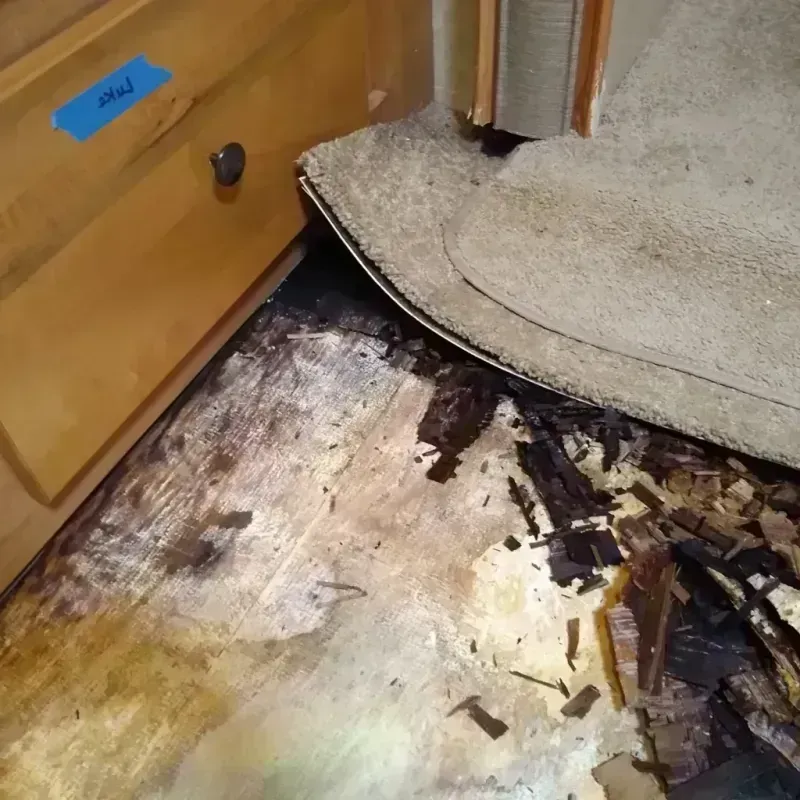 Wood Floor Water Damage in Peaceful Valley, WA